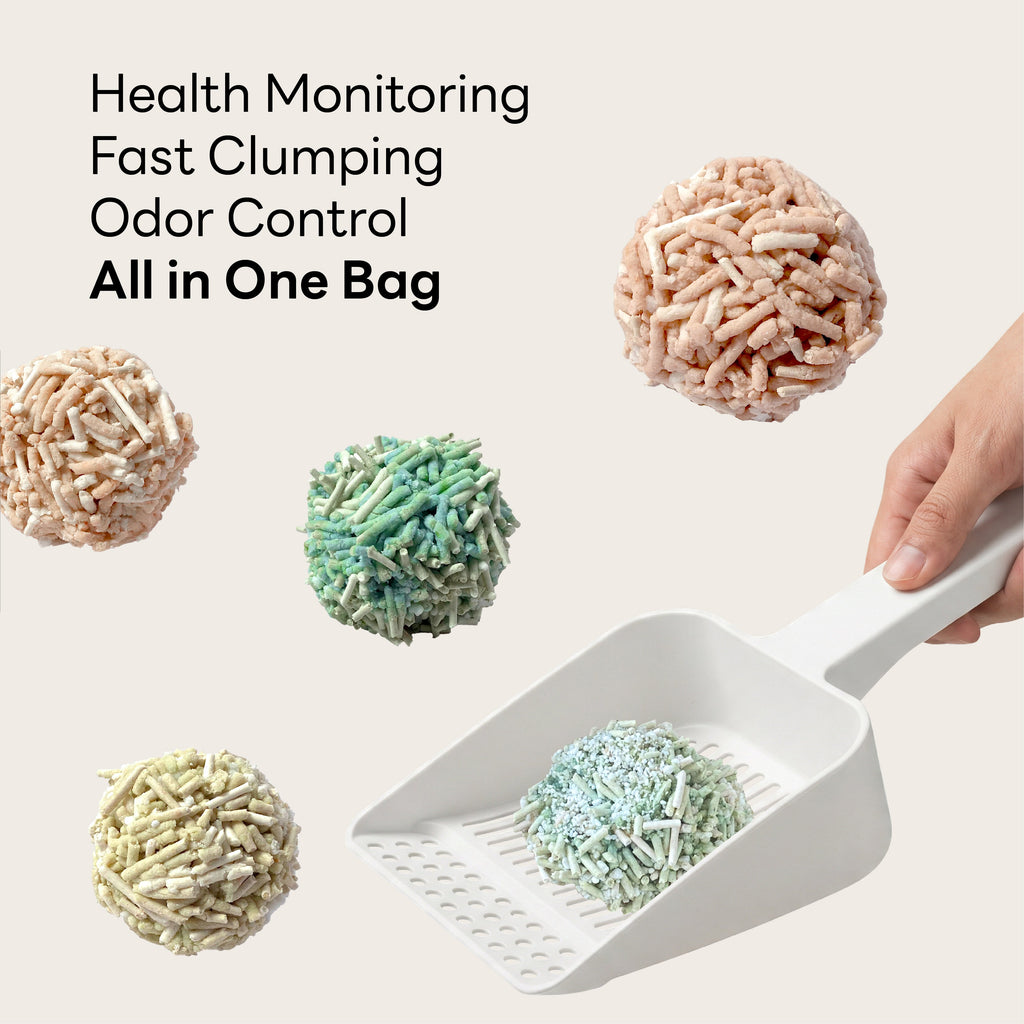 Purrify® Smart Cat Litter – Plant-Based, Clumping & pH Monitoring